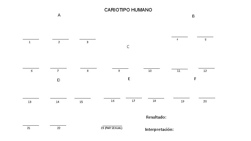 CARIOTIPO HUMANO A 1 B 2 6 4 3 7 C 8 9 14 CARIOTIPO HUMANO A 1 B 2 6 4 3 7 C 8 9 14