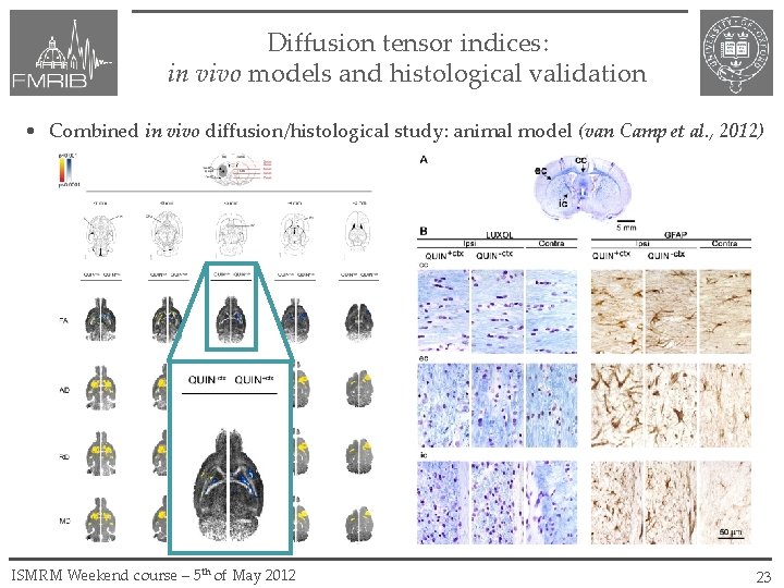 Diffusion tensor indices: in vivo models and histological validation • Combined in vivo diffusion/histological