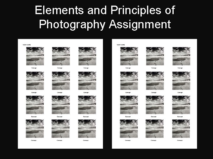 Elements and Principles of Photography Assignment 