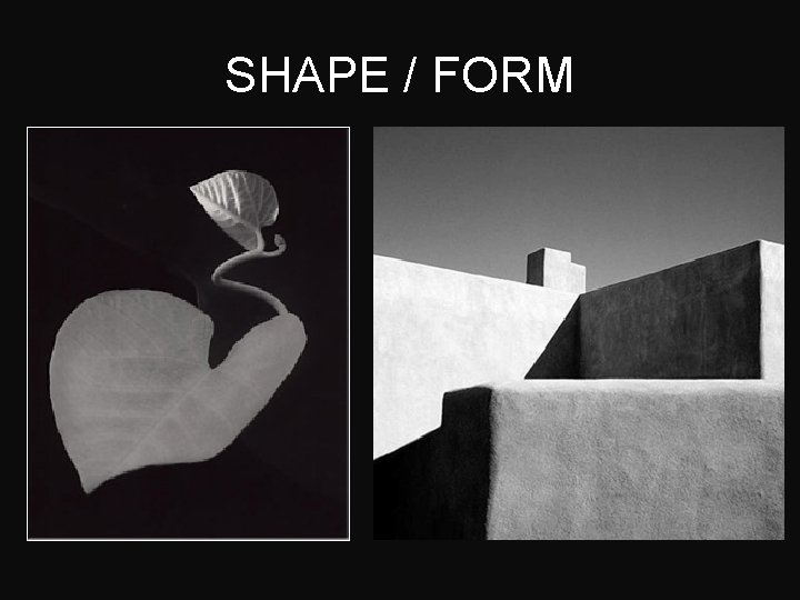 SHAPE / FORM 