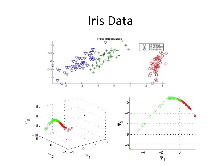 Iris Data 