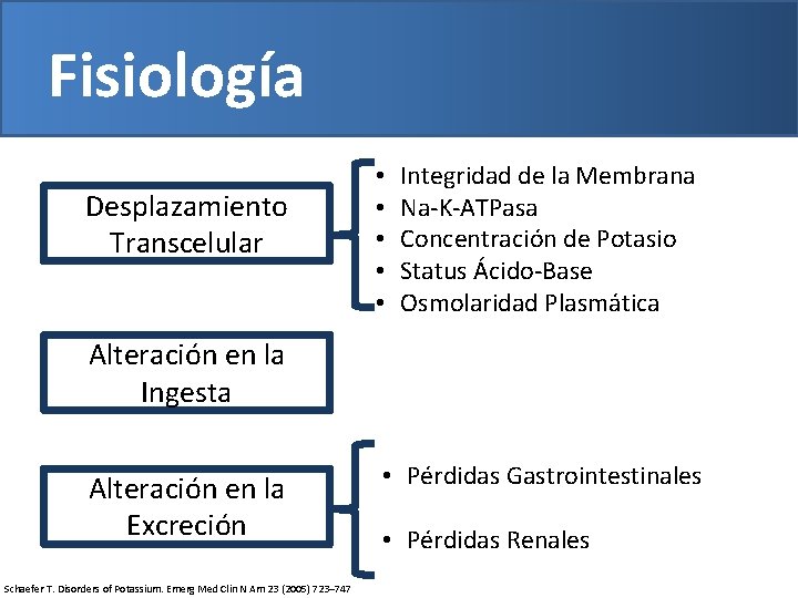 Fisiología Desplazamiento Transcelular • • • Integridad de la Membrana Na-K-ATPasa Concentración de Potasio