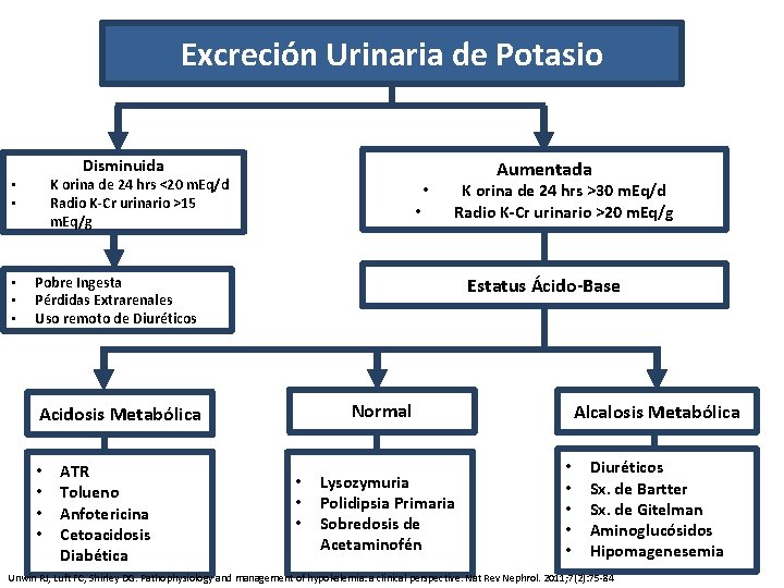 Excreción Urinaria de Potasio Disminuida K orina de 24 hrs <20 m. Eq/d Radio