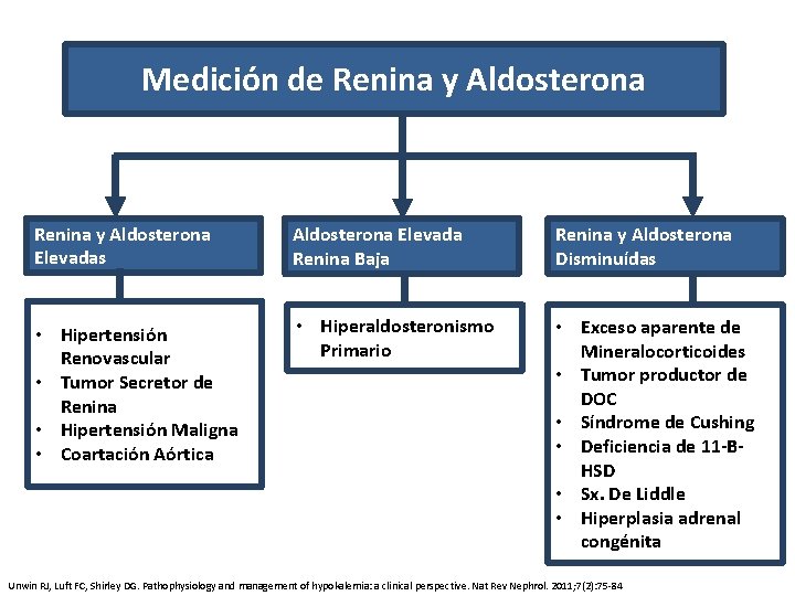 Medición de Renina y Aldosterona Elevadas Aldosterona Elevada Renina Baja Renina y Aldosterona Disminuídas