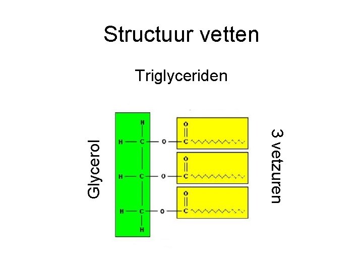 Structuur vetten 3 vetzuren Glycerol Triglyceriden 