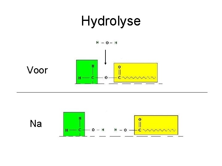 Hydrolyse Voor Na 