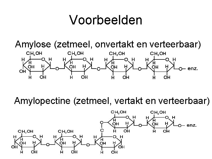 Voorbeelden Amylose (zetmeel, onvertakt en verteerbaar) Amylopectine (zetmeel, vertakt en verteerbaar) 