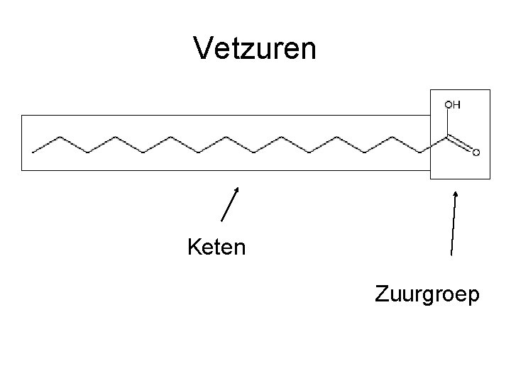 Vetzuren Keten Zuurgroep 