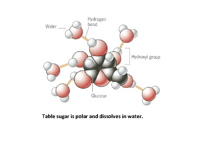 Table sugar is polar and dissolves in water. 