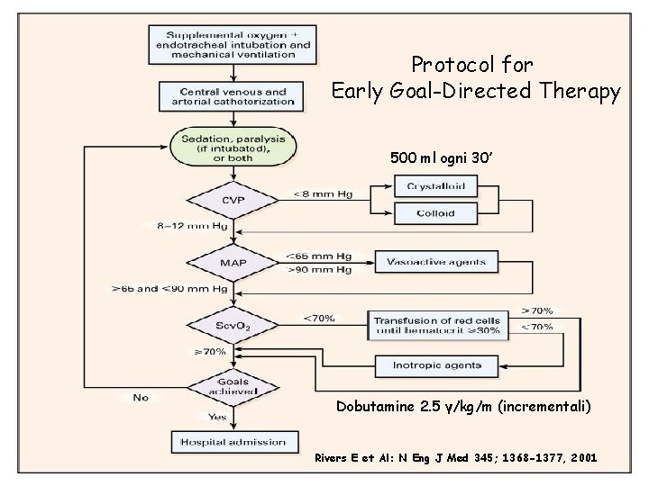 Protocol for Early Goal-Directed Therapy 500 ml ogni 30’ Dobutamine 2. 5 γ/kg/m (incrementali)