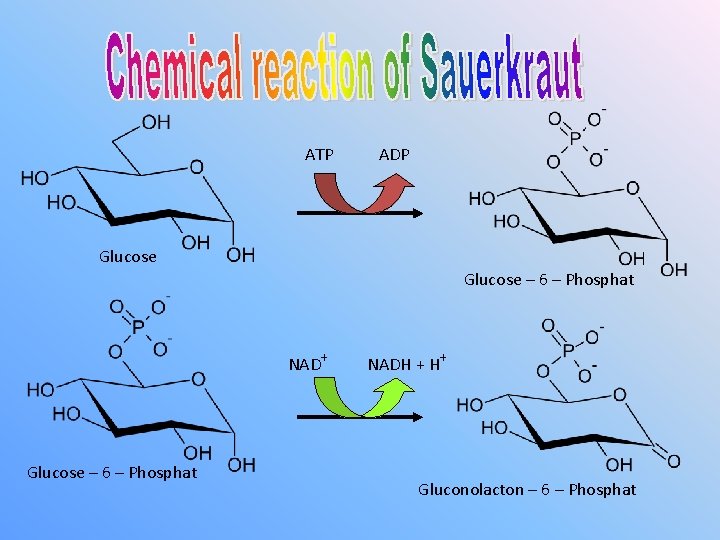 ATP ADP Glucose – 6 – Phosphat NAD+ Glucose – 6 – Phosphat NADH