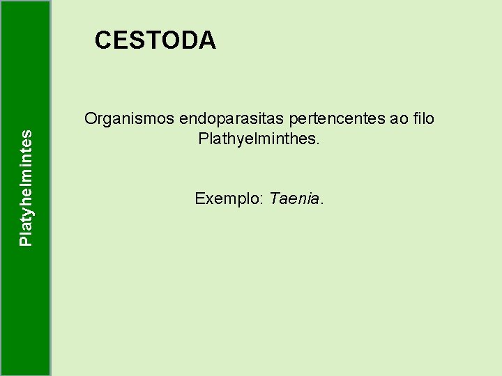Platyhelmintes CESTODA Organismos endoparasitas pertencentes ao filo Plathyelminthes. Exemplo: Taenia. Platyhelmintes CESTODA Organismos endoparasitas pertencentes ao filo Plathyelminthes. Exemplo: Taenia.