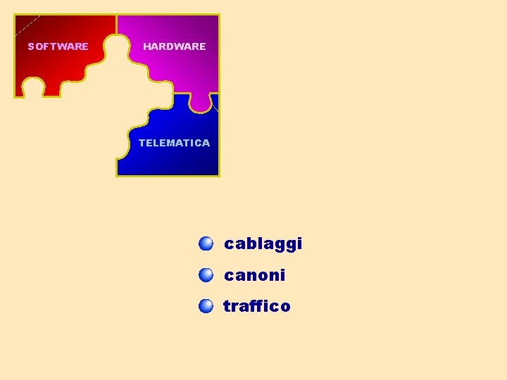 SOFTWARE HARDWARE TELEMATICA cablaggi canoni traffico 