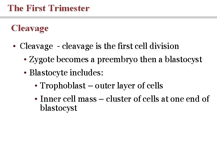 The First Trimester Cleavage • Cleavage - cleavage is the first cell division • The First Trimester Cleavage • Cleavage - cleavage is the first cell division •