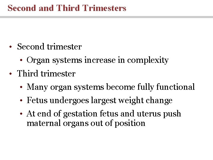 Second and Third Trimesters • Second trimester • Organ systems increase in complexity • Second and Third Trimesters • Second trimester • Organ systems increase in complexity •
