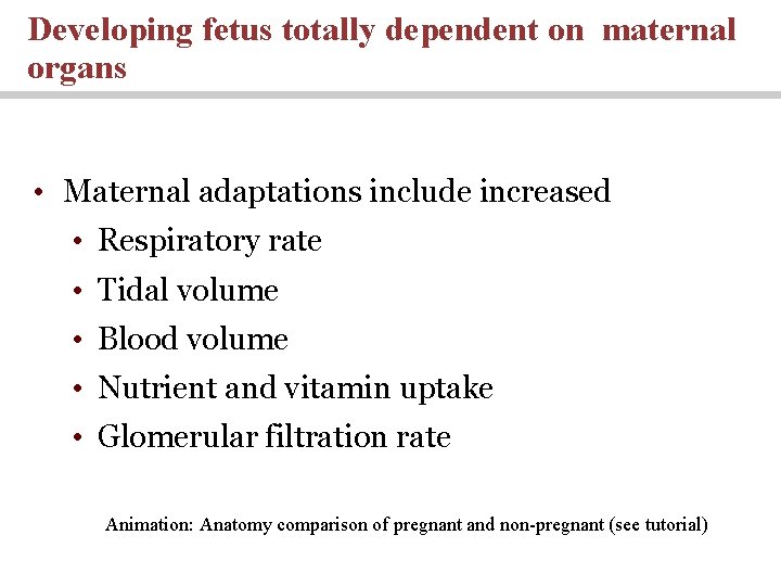 Developing fetus totally dependent on maternal organs • Maternal adaptations include increased • Respiratory Developing fetus totally dependent on maternal organs • Maternal adaptations include increased • Respiratory