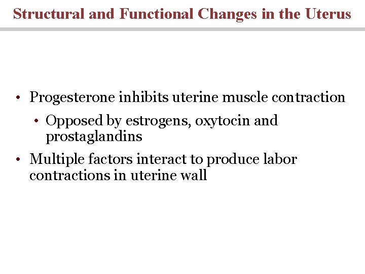 Structural and Functional Changes in the Uterus • Progesterone inhibits uterine muscle contraction • Structural and Functional Changes in the Uterus • Progesterone inhibits uterine muscle contraction •