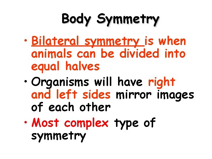 Body Symmetry • Bilateral symmetry is when animals can be divided into equal halves