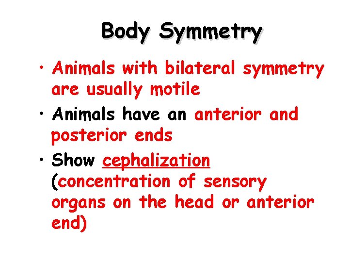Body Symmetry • Animals with bilateral symmetry are usually motile • Animals have an