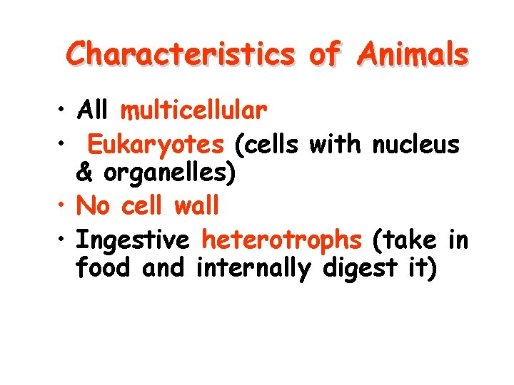 Characteristics of Animals • All multicellular • Eukaryotes (cells with nucleus & organelles) •