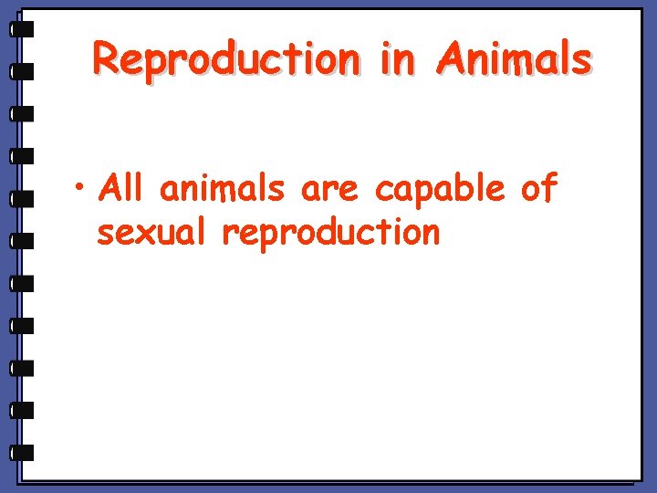 Reproduction in Animals • All animals are capable of sexual reproduction 