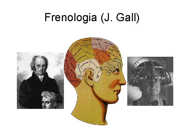 Frenologia (J. Gall) 