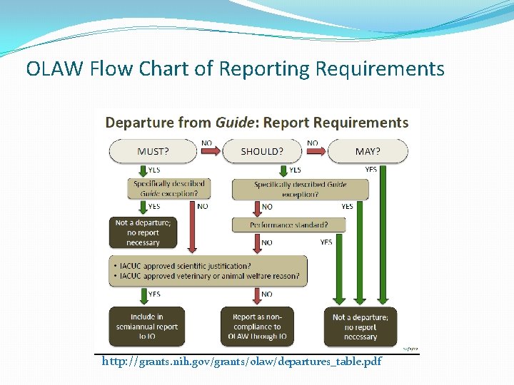 OLAW Flow Chart of Reporting Requirements http: //grants. nih. gov/grants/olaw/departures_table. pdf 