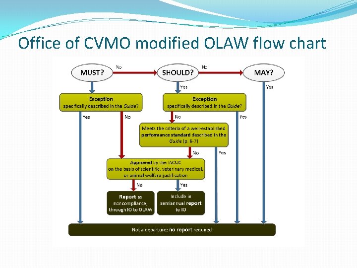 Office of CVMO modified OLAW flow chart 