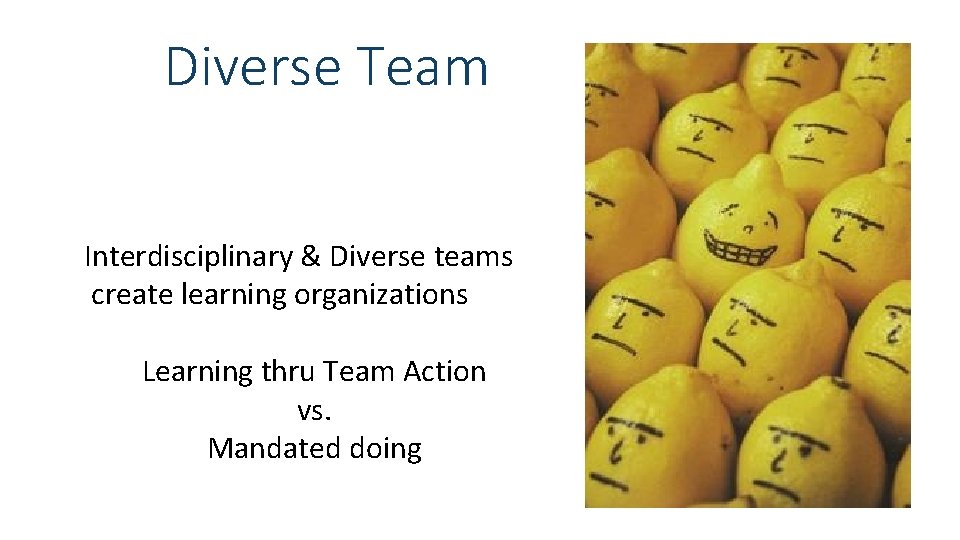 Diverse Team Interdisciplinary & Diverse teams create learning organizations Learning thru Team Action vs.