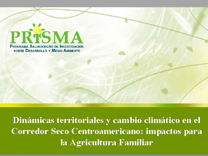 Dinámicas territoriales y cambio climático en el Corredor Seco Centroamericano: impactos para la Agricultura