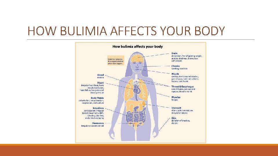 HOW BULIMIA AFFECTS YOUR BODY HOW BULIMIA AFFECTS YOUR BODY