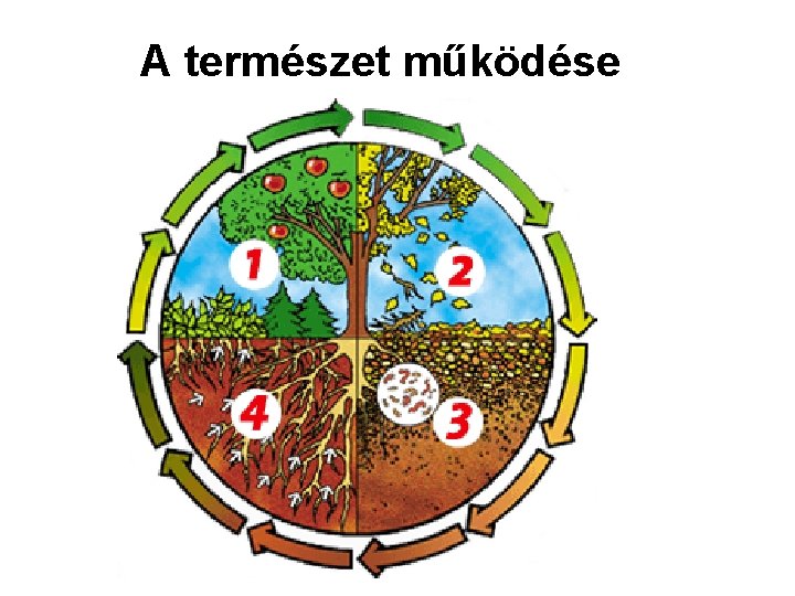 A természet működése 