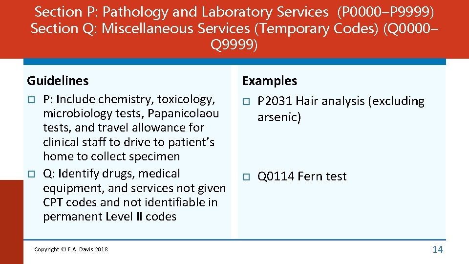 Section P: Pathology and Laboratory Services (P 0000–P 9999) Section Q: Miscellaneous Services (Temporary