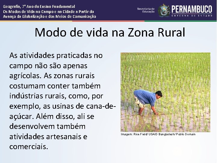 Geografia, 7° Ano do Ensino Fundamental Os Modos de Vida no Campo e na