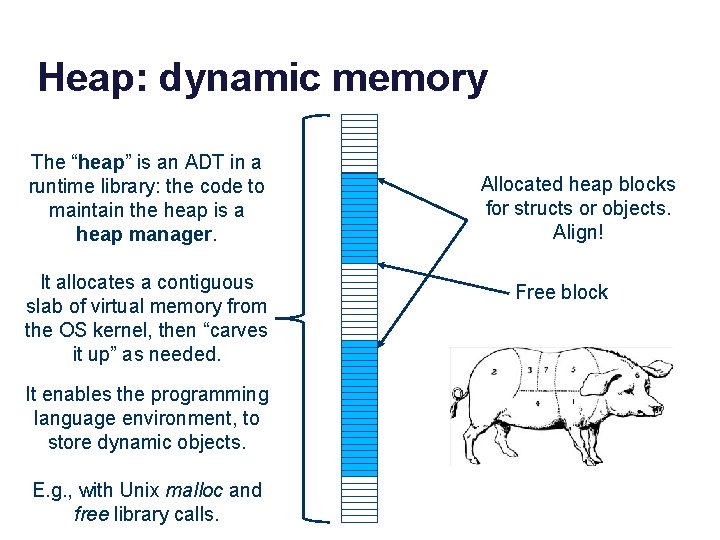 Heap: dynamic memory The “heap” is an ADT in a runtime library: the code