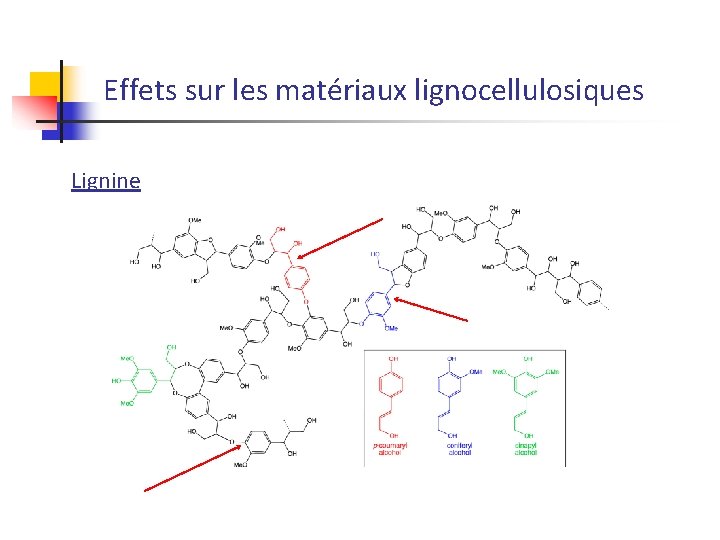 Effets sur les matériaux lignocellulosiques Lignine 