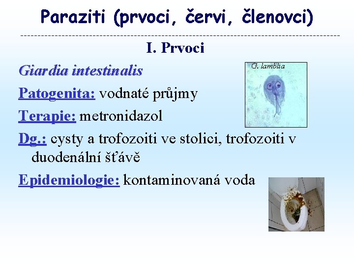 Paraziti (prvoci, červi, členovci) I. Prvoci Giardia intestinalis Patogenita: vodnaté průjmy Terapie: metronidazol Dg. Paraziti (prvoci, červi, členovci) I. Prvoci Giardia intestinalis Patogenita: vodnaté průjmy Terapie: metronidazol Dg.