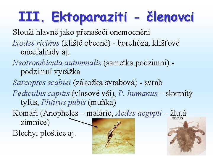 III. Ektoparaziti - členovci Slouží hlavně jako přenašeči onemocnění Ixodes ricinus (klíště obecné) - III. Ektoparaziti - členovci Slouží hlavně jako přenašeči onemocnění Ixodes ricinus (klíště obecné) -