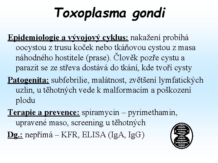 Toxoplasma gondi Epidemiologie a vývojový cyklus: nakažení probíhá oocystou z trusu koček nebo tkáňovou Toxoplasma gondi Epidemiologie a vývojový cyklus: nakažení probíhá oocystou z trusu koček nebo tkáňovou