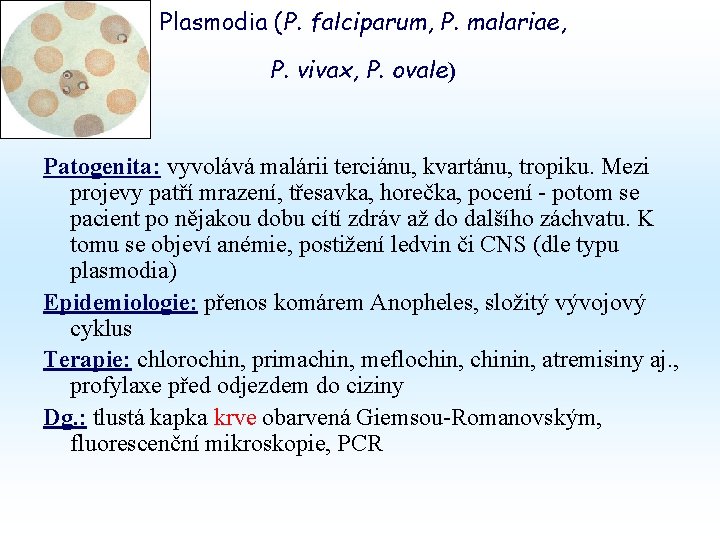 Plasmodia (P. falciparum, P. malariae, P. vivax, P. ovale) Patogenita: vyvolává malárii terciánu, kvartánu, Plasmodia (P. falciparum, P. malariae, P. vivax, P. ovale) Patogenita: vyvolává malárii terciánu, kvartánu,