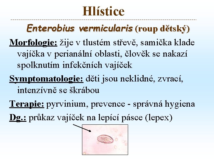 Hlístice Enterobius vermicularis (roup dětský) Morfologie: žije v tlustém střevě, samička klade vajíčka v Hlístice Enterobius vermicularis (roup dětský) Morfologie: žije v tlustém střevě, samička klade vajíčka v