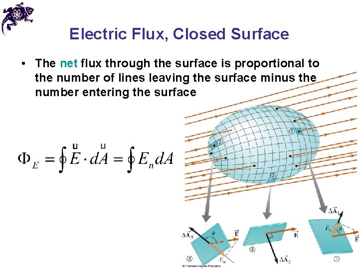 Electric Flux, Closed Surface • The net flux through the surface is proportional to