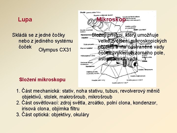 Lupa Skládá se z jedné čočky nebo z jediného systému čoček Olympus CX 31