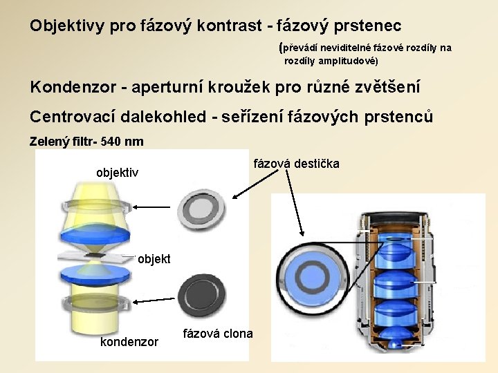 Objektivy pro fázový kontrast - fázový prstenec (převádí neviditelné fázové rozdíly na rozdíly amplitudové) Objektivy pro fázový kontrast - fázový prstenec (převádí neviditelné fázové rozdíly na rozdíly amplitudové)