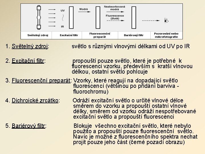 1. Světelný zdroj: světlo s různými vlnovými délkami od UV po IR 2. Excitační 1. Světelný zdroj: světlo s různými vlnovými délkami od UV po IR 2. Excitační