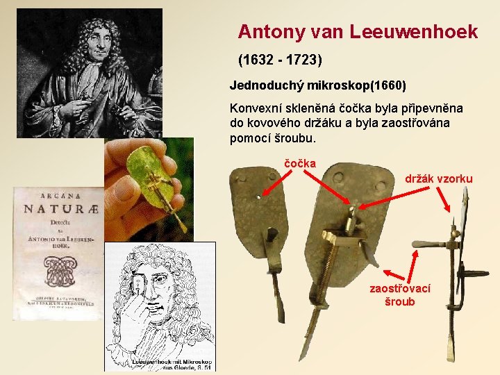 Antony van Leeuwenhoek (1632 - 1723) Jednoduchý mikroskop(1660) Konvexní skleněná čočka byla připevněna do