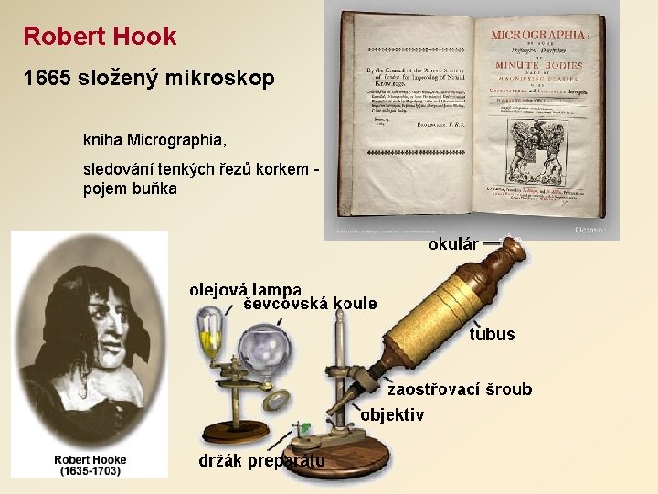 Robert Hook 1665 složený mikroskop kniha Micrographia, sledování tenkých řezů korkem pojem buňka 