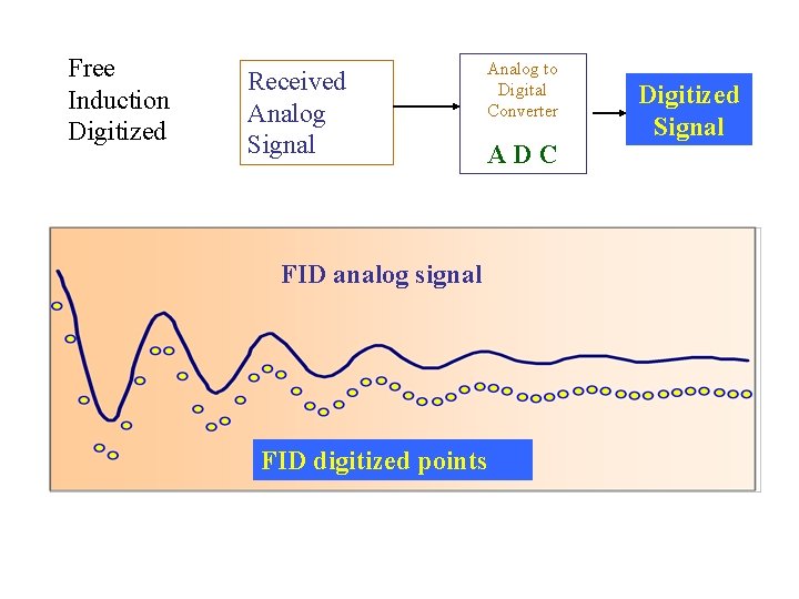Free Induction Digitized Received Analog Signal Analog to Digital Converter ADC FID analog signal