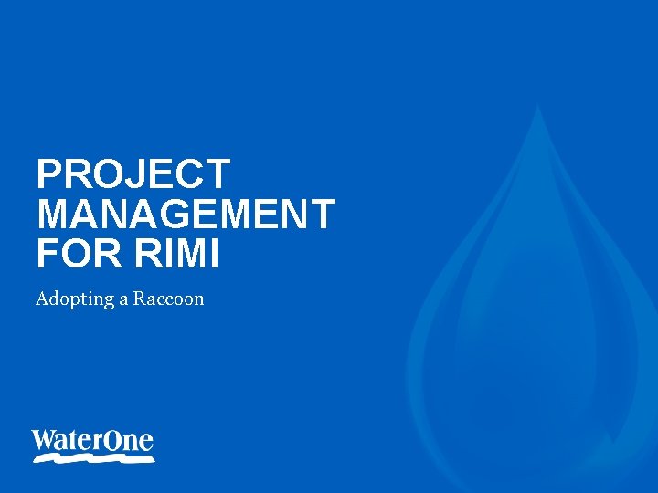 PROJECT MANAGEMENT FOR RIMI ‘- Adopting a Raccoon 1 