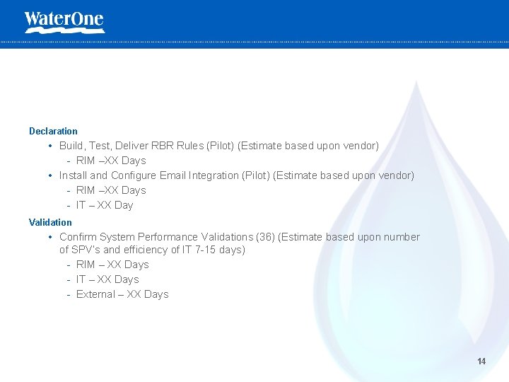 Declaration • Build, Test, Deliver RBR Rules (Pilot) (Estimate based upon vendor) - RIM